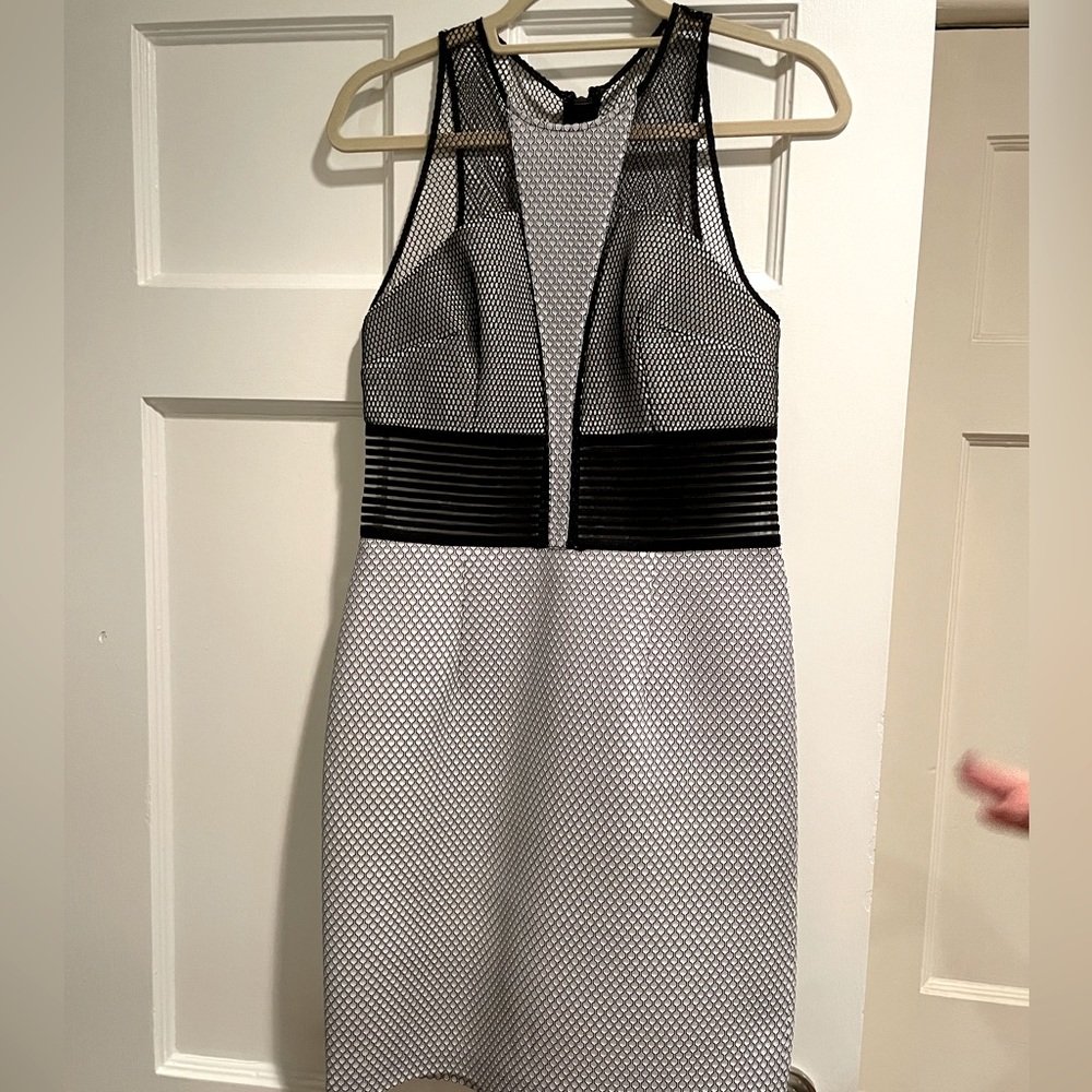 Sachin and Babi mesh dress